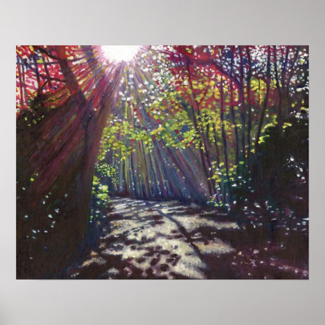 Póster Luz dispersa 2013 (Frente)