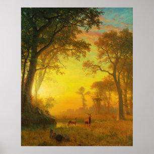 Póster Luz en el bosque