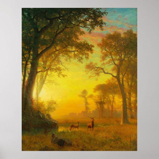 Póster Luz en el bosque (Frente)