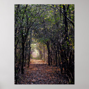 Póster Luz en el extremo del poster de la trayectoria