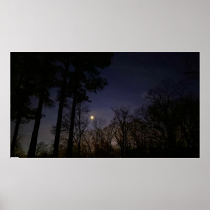 Póster Luz quitamiedos,