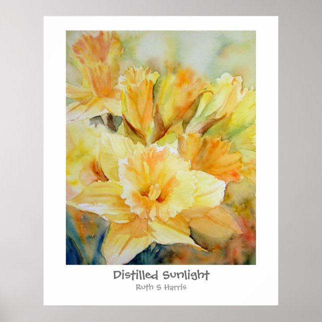 Póster Luz solar destilada (Frente)