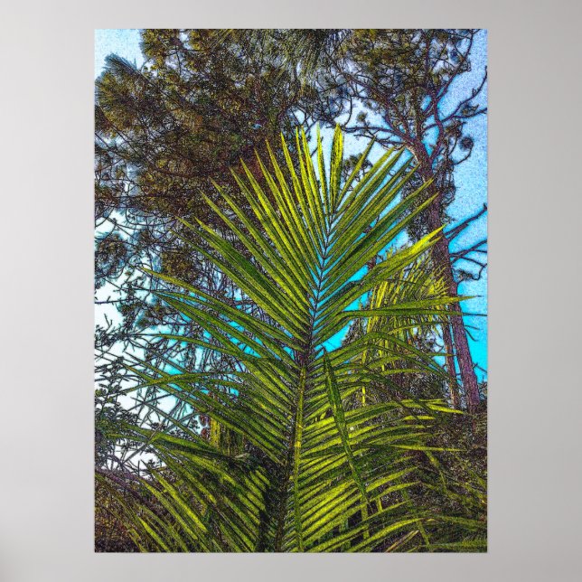 Póster Luz solar en el papel Poster Palm Fronds (Frente)