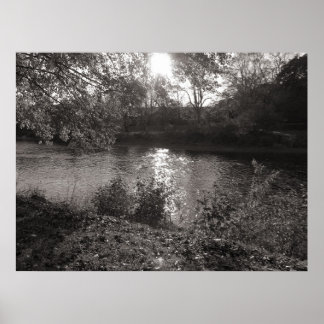 Póster Luz solar en el Taff, Bute Park, Cardiff