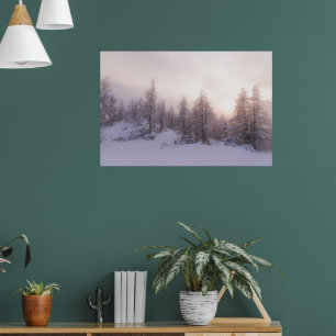 Póster Luz solar y bosque de abetos