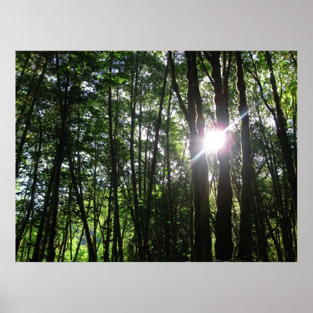 Póster Luz verde. (Frente)