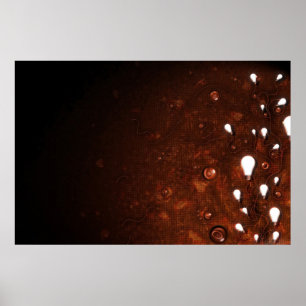 Póster Luz y oscuridad