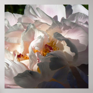 Póster Luz y sombra 2