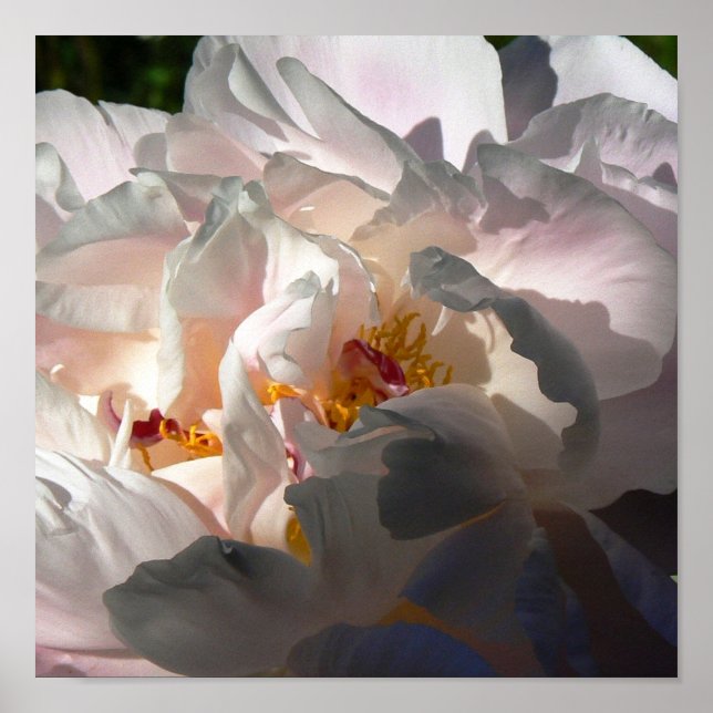 Póster Luz y sombra 2 (Frente)