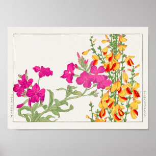 Póster Lychnis coronaria, Cytisus, por Tanigami Konan
