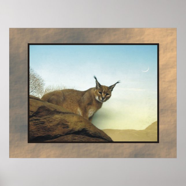 Póster Lynx (Frente)