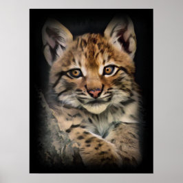 Póster Lynx Cub