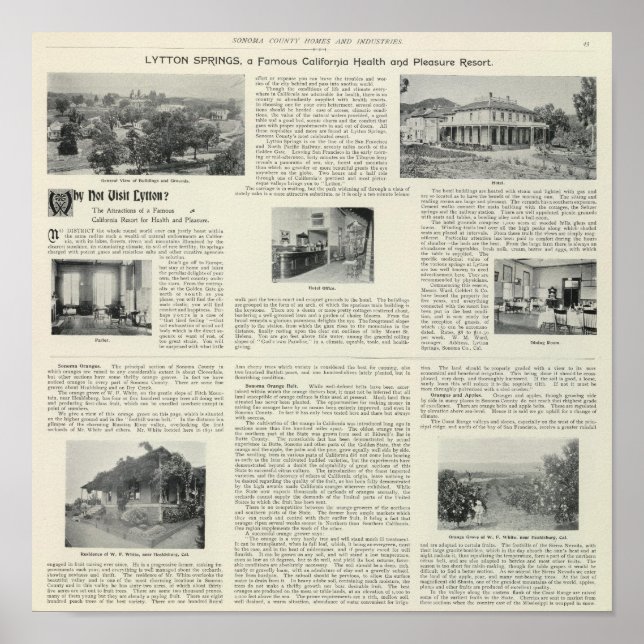 Póster Lytton Springs, California (Frente)