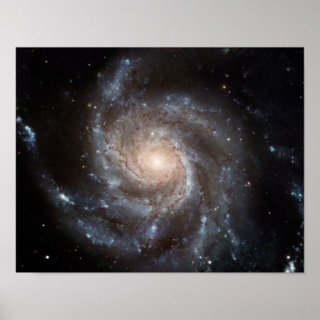 Póster M101 Galaxia espiral de volante NASA (Frente)