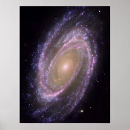 Póster M81 Galaxy