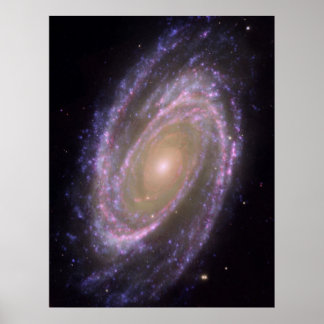 Póster M81 Galaxy