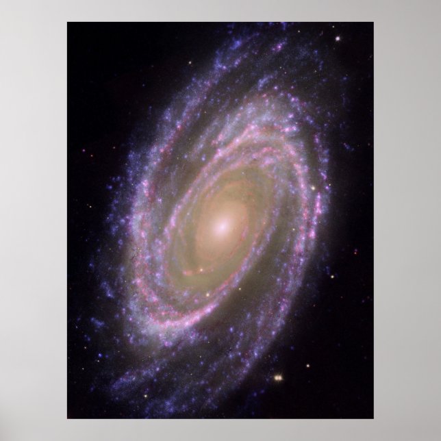 Póster M81 Galaxy (Frente)