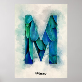 Póster M es para Guacamayo