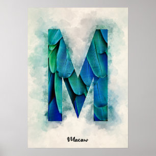 Póster M es para Macaw