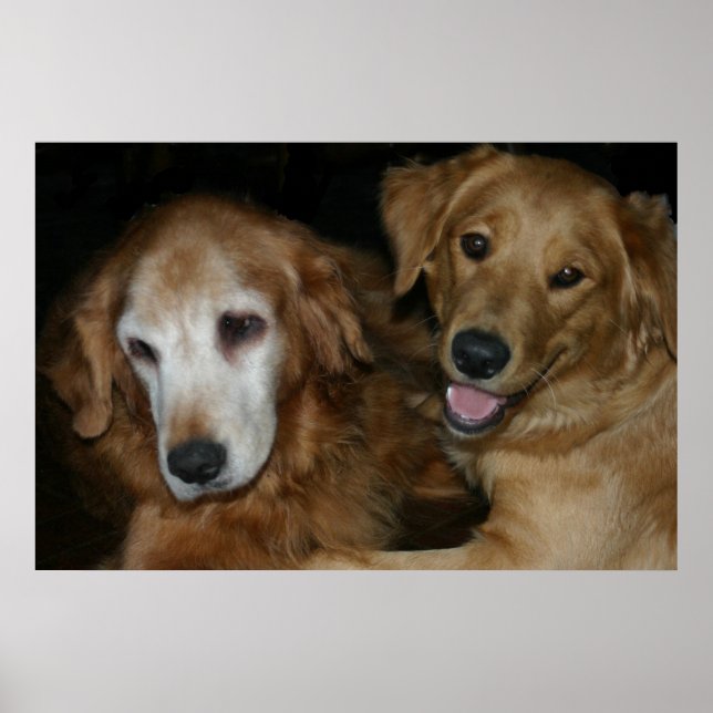 Póster M y H 2 (Frente)