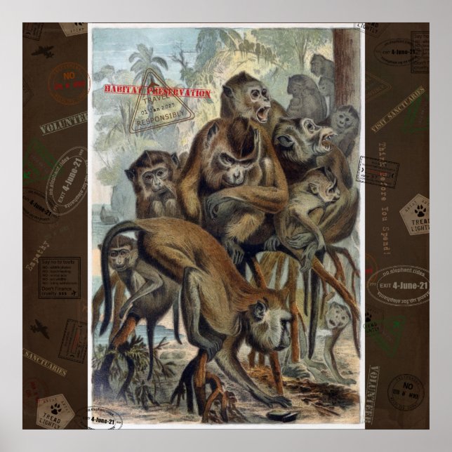 Póster Macacos para un viaje responsable (Frente)