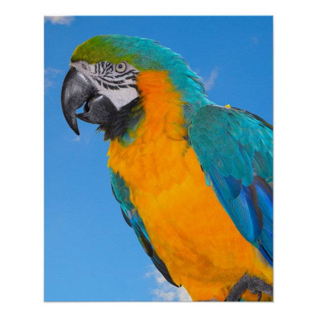 Póster Macao azul y amarillo (Anverso)