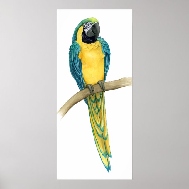 Póster Macao verde azulado (Frente)