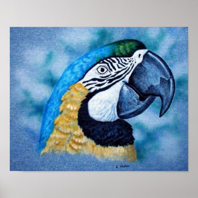 Póster Macaw (Frente)