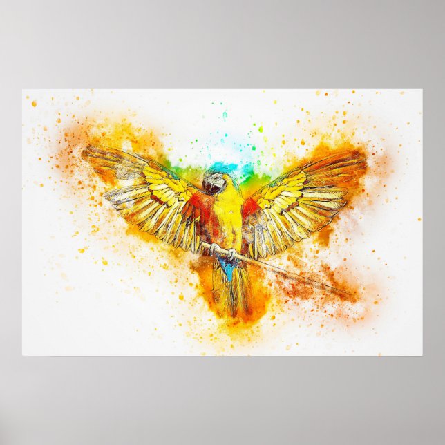 Póster Macaw (Frente)
