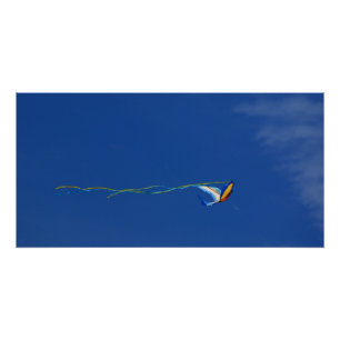 Póster Macaw Kite
