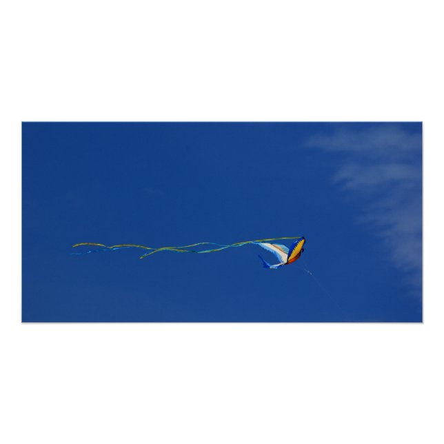 Póster Macaw Kite (Anverso)