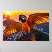 Macaw sobre el poster horizontal de Río de Janeiro