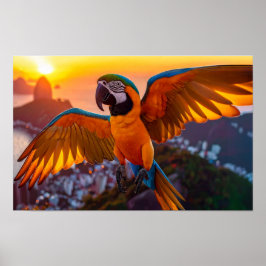 Póster Macaw sobre el poster horizontal de Río de Janeiro