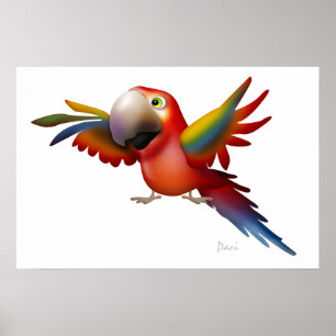 Póster Macaw - SRF