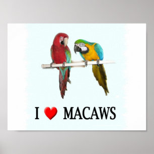 Póster "Macaws del corazón"