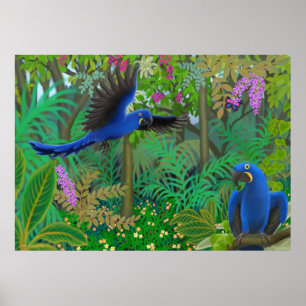 Póster Macaws del jacinto en el poster de la selva