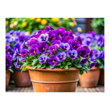 Maceta de flores violeta encantadora