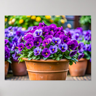 Póster Maceta de flores violeta encantadora