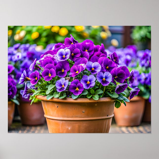 Póster Maceta de flores violeta encantadora (Frente)