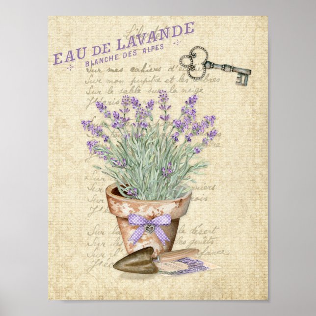 Póster Maceta de terracota jardín lavanda francesa (Frente)