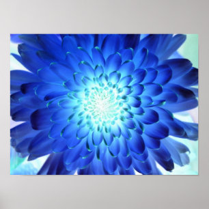 Póster Macro azul brillante de la flor. Negativa del