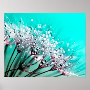 Póster Macro Dandelion Semillas Agua Drogas Foto