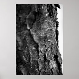 Póster Macro de barra de árbol negra y blanco