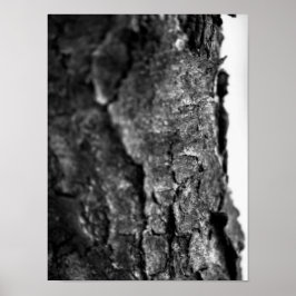 Póster Macro de barra de árbol negra y blanco