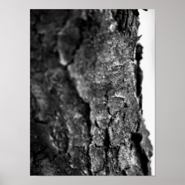 Póster Macro de barra de árbol negra y blanco (Frente)