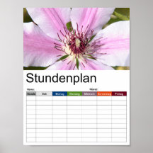 Macro de clematis blanco y morado