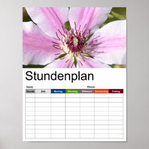 Póster Macro de clematis blanco y morado