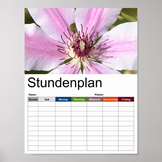 Póster Macro de clematis blanco y morado (Frente)