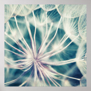 Póster Macro de Dandalion etéreo azul