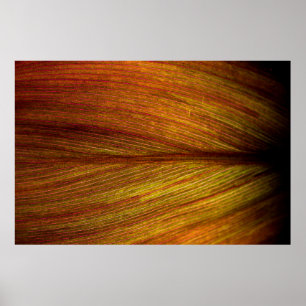 Póster macro de fondo de hoja de textura natural